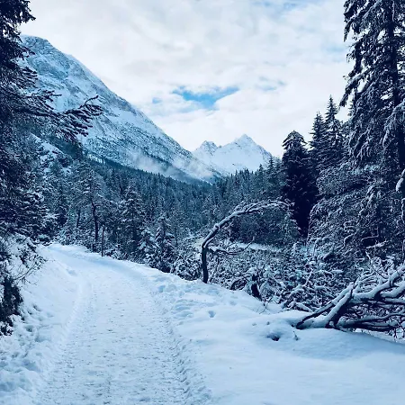 Obern 41 洛伊塔施