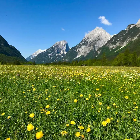 Obern 41 公寓 洛伊塔施