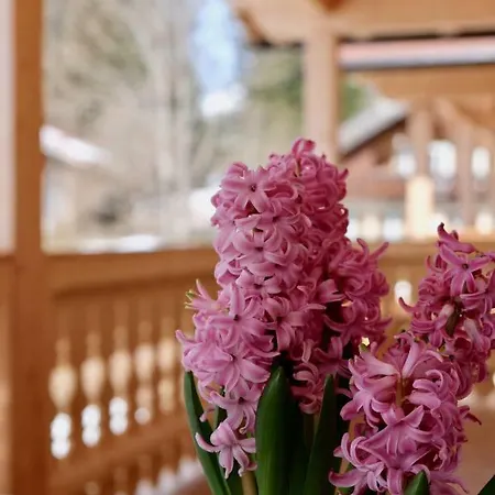 Obern 41 Apartmán Leutasch