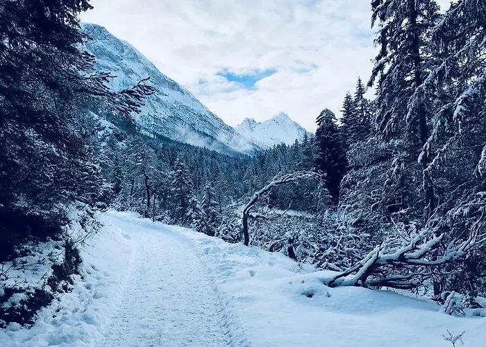 أوبيرن 41 لوتاش