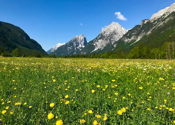 أوبيرن 41 شقة لوتاش