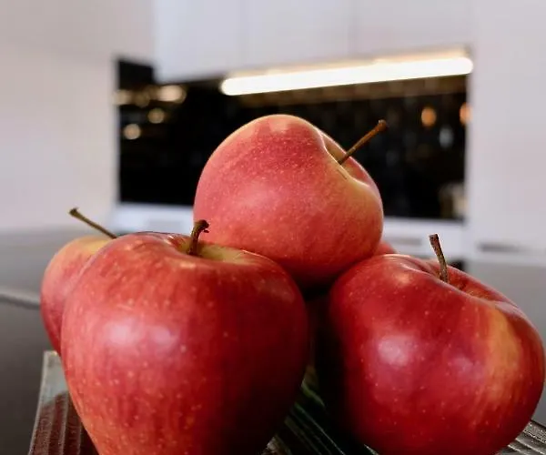 أوبيرن 41 لوتاش