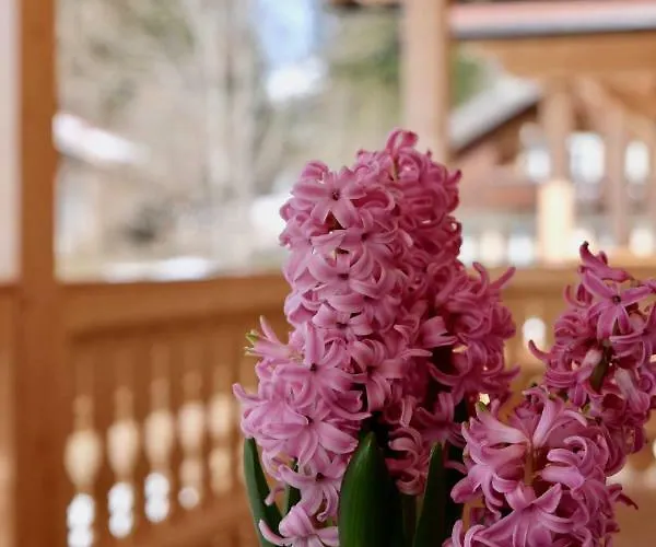 أوبيرن 41 شقة لوتاش