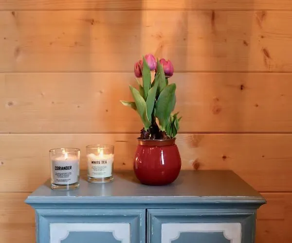 أوبيرن 41 شقة لوتاش