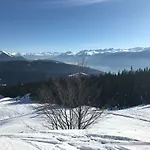 Obern 41
