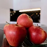 Obern 41 ליוטאש